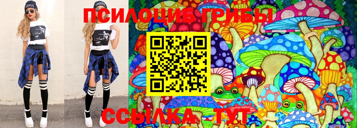 Гудермес  Псилоцибиновые грибы Psilocybine cubensis  Псилоцибиновые грибы MAGIC MUSHROOMS  Вход с VPN 