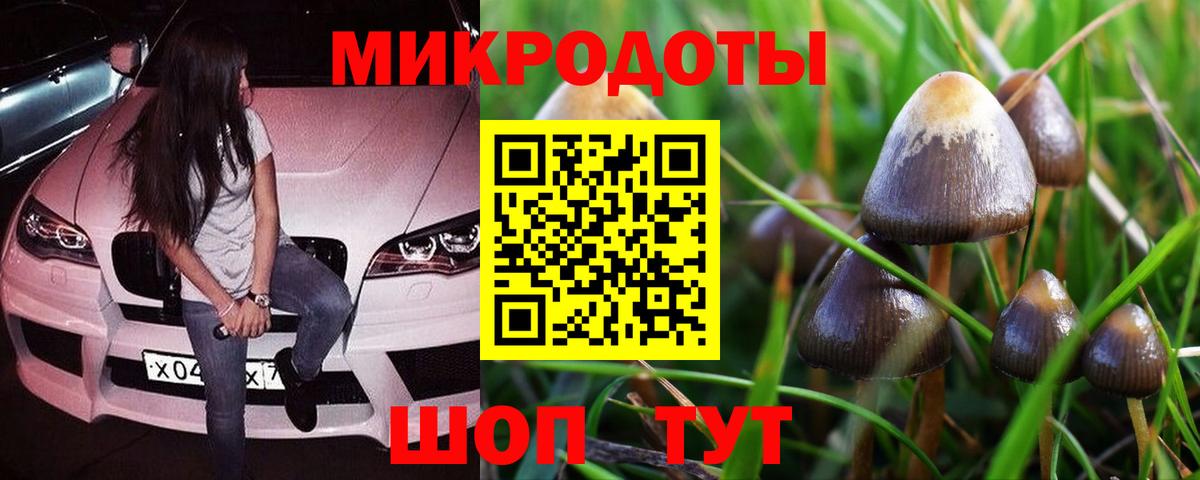 Галлюциногенные грибы Cubensis Гудермес